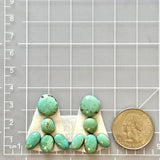 Small Mint Green Freeform Lucid Variscite, Set of 10 Dimensions