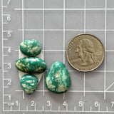 Small Deep Green Mixed Fox Turquoise, Set of 4 Dimensions