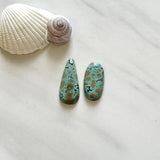 Large Sea Green Mixed Giraffe Turquoise, Set of 2 Background