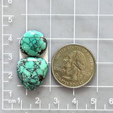 Large Sky Blue Freeform Yungai Turquoise, Set of 2 Dimensions