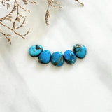 Small Sky Blue Freeform Paiute Turquoise, Set of 5 Background