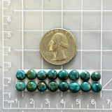 Small Ocean Blue Round Ithaca Peak Turquoise, Set of 16 Dimensions