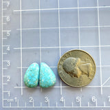 Small Sky Blue Freeform Sonora Turquoise, Set of 2 Dimensions