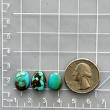 Small Sky Blue Freeform Royston Turquoise, Set of 3 Dimensions