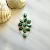 Small Lime Green Mixed Sonoran Lime Turquoise, Set of 11 Background
