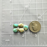 Small Sky Blue Oval Royston Turquoise, Set of 5 Dimensions