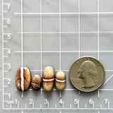 Small Red Oval White Buffalo Dolomite, Set of 4 Dimensions