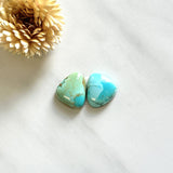 Medium Mixed Freeform Royston Turquoise, Set of 2 Background