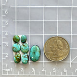 Small Sea Green Mixed Tyrone Turquoise, Set of 7 Dimensions