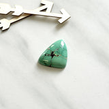 Large Mint Green Freeform Royston Turquoise Background