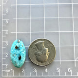 Large Sky Blue Oval Ithaca Peak Turquoise Dimensions