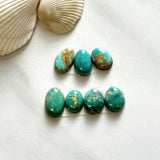 Small Sea Green Freeform Royston Turquoise, Set of 7 Background
