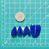 Large Deep Blue Mixed Lapis Lazuli, Set of 6 Dimensions