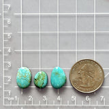 Small Sky Blue Freeform Pilot Mountain Turquoise, Set of 3 Dimensions