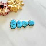 Small Sky Blue Freeform Kingman Turquoise, Set of 4 Background