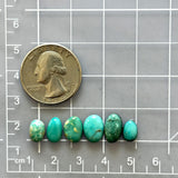 Small Sky Blue Mixed Fox Turquoise, Set of 6 Dimensions