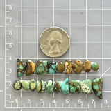 Small Mixed Mixed Treasure Mountain Turquoise, Set of 19 Dimensions
