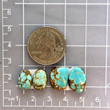 Small Sky Blue Freeform Number 8 Turquoise, Set of 4 Dimensions