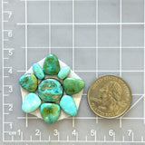 Small Sea Green Mixed Lone Mountain Turquoise, Set of 9 Dimensions