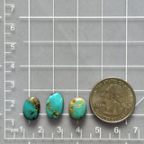 Small Sky Blue Freeform Royston Turquoise, Set of 3 Dimensions