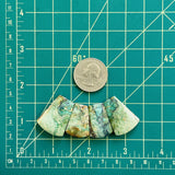 Medium Faint Green Petal Crescent Lake Variscite, Set of 4 Dimensions