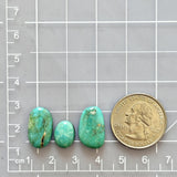 Small Mint Green Freeform Kingman Turquoise, Set of 3 Dimensions