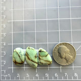 Large Mint Green Mixed Crescent Lake Variscite, Set of 3 Dimensions