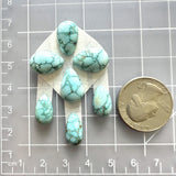 Small Faint Blue Teardrop Namtso Lake Turquoise, Set of 7 Dimensions