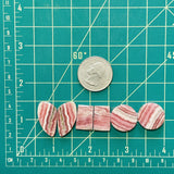Medium Pink Mixed Rhodochrosite, Set of 6 Dimensions