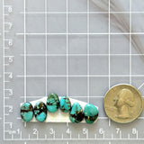 Small Sky Blue Mixed Blue Moon Turquoise, Set of 6 Dimensions