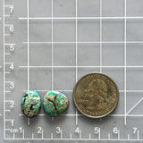 Small Mint Green Mixed Tyrone Turquoise, Set of 2 Dimensions
