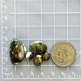 Medium Earth Brown Mixed Broken Arrow Variscite, Set of 4 Dimensions
