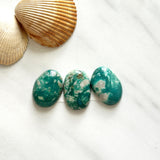 Medium Deep Green Mixed Fox Turquoise, Set of 3 Background