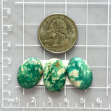 Medium Deep Green Mixed Fox Turquoise, Set of 3 Dimensions