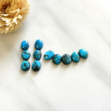 Small Sky Blue Mixed Paiute Turquoise, Set of 11 Background