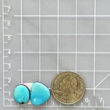 Small Sky Blue Freeform Sleeping Beauty Turquoise, Set of 2 Dimensions