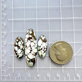 Medium White Mixed Sand Hill Turquoise, Set of 3 Dimensions