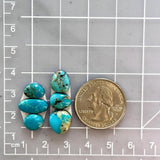 Small Ocean Blue Freeform Kingman Turquoise, Set of 6 Dimensions