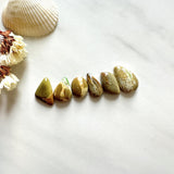 Small Pale Brown Mixed Royston Turquoise, Set of 6 Background