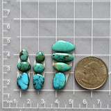 Small Mixed Freeform Mixed Turquoise, Set of 10 Dimensions