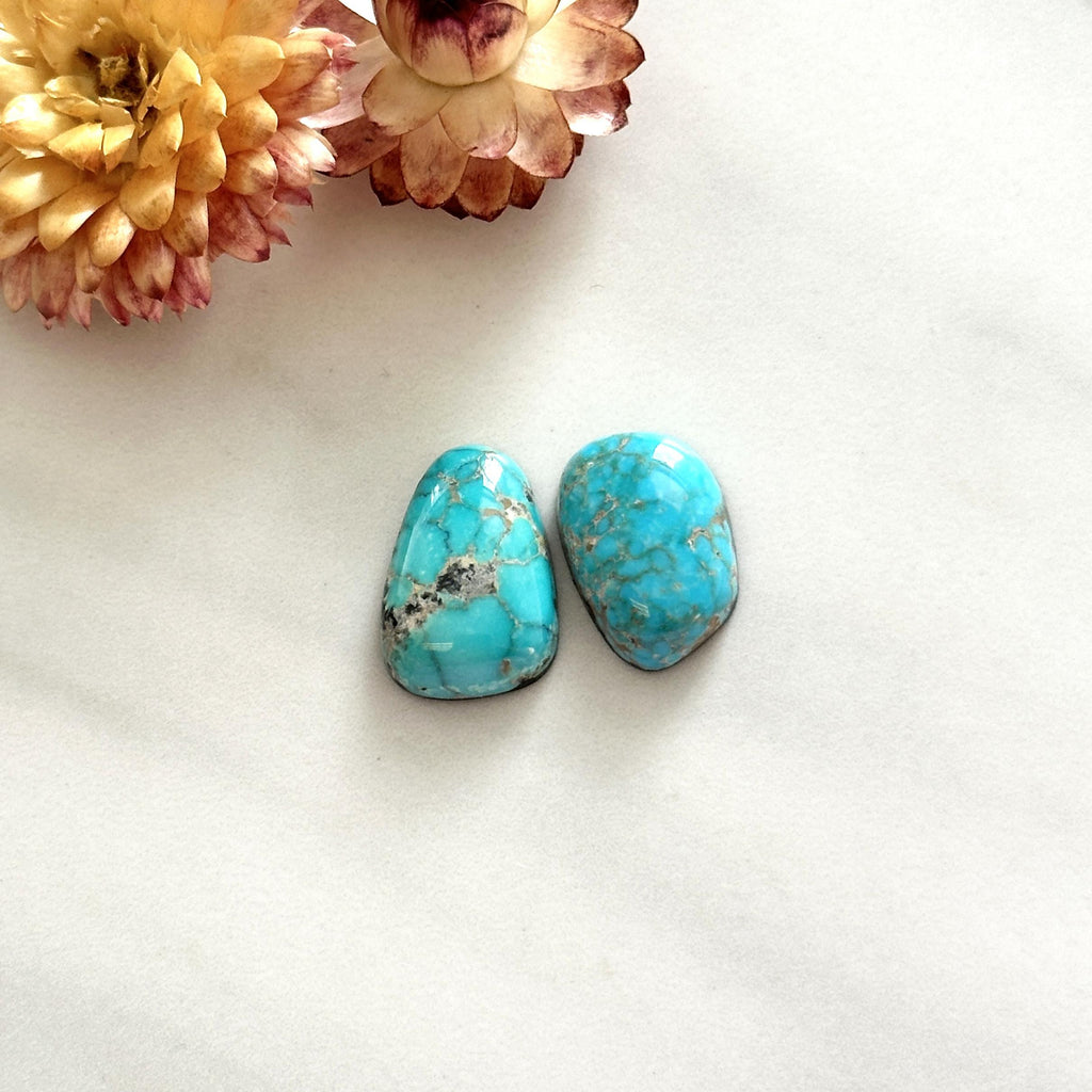Small Sky Blue Mixed Lone Mountain Turquoise, Set of 2 - Turquoise
