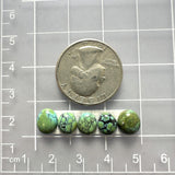Small Bamboo Green Freeform Bamboo Mountain Turquoise, Set of 5 Dimensions