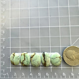 Small Mint Green Oval Crescent Lake Variscite, Set of 5 Dimensions