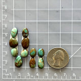 Small Mint Green Mixed Tyrone Turquoise, Set of 11 Dimensions