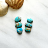Small Sky Blue Mixed Number 8 Turquoise, Set of 6 Background