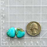Small Sky Blue Freeform Royston Turquoise, Set of 2 Dimensions