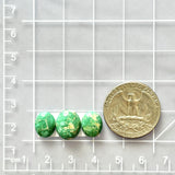 Small Sea Green Oval Lucid Variscite, Set of 3 Dimensions
