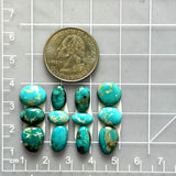 Small Sky Blue Mixed Number 8 Turquoise, Set of 15 Dimensions