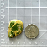 Large Deep Green Freeform Royston Turquoise Dimensions