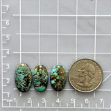 Medium Sea Green Oval Wild Horse Turquoise, Set of 3 Dimensions